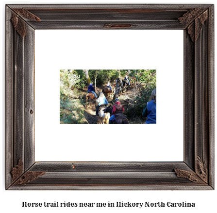 horse trail rides near me in Hickory, North Carolina